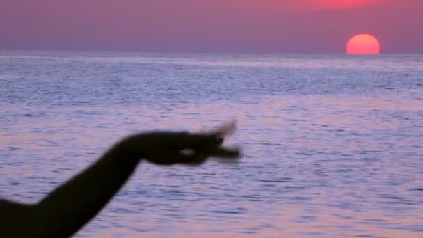 Silhouet van het verplaatsen van vrouwelijke hand, zonsondergang zee op achtergrond — Stockvideo