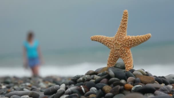 Estrella de mar de pie sobre piedras en la playa, mujer desenfocada caminando en el fondo — Vídeo de stock