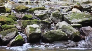 dağ nehir orman taşlarla yatay kaydırma
