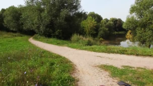 Two motorcyclists sits on motorcycles in park,moving camera — Stock Video