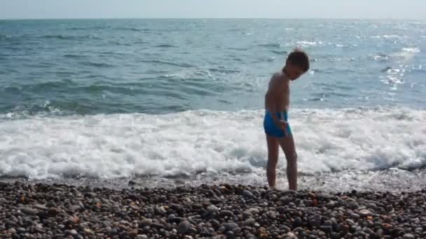 Pojke står i havet surf och kasta småsten till vatten — Stockvideo