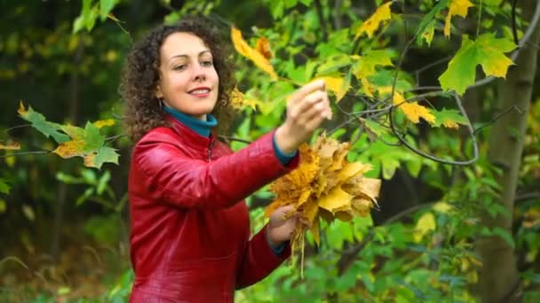 Jovem mulher reunindo folhas de bordo da árvore no parque de outono — Vídeo de Stock