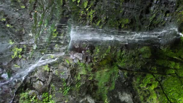 Vertical video, waterfall in forest, sochi, russia — Stock Video