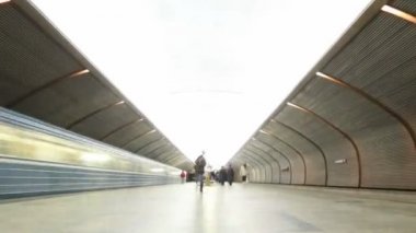 Metro İstasyonu platformunda, iki tren varmak ve bırakın. kamera uzak tutar. zaman atlamalı.