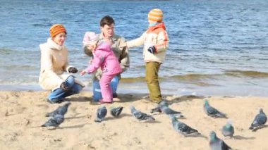 Family on beach and feeds pigeons