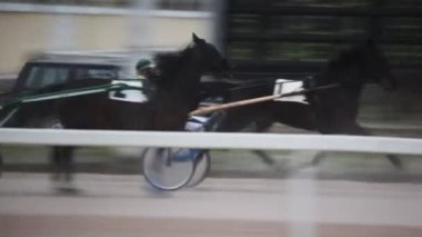 Atların çalışan bazı equestrians Hipodrom üzerinde rekabet
