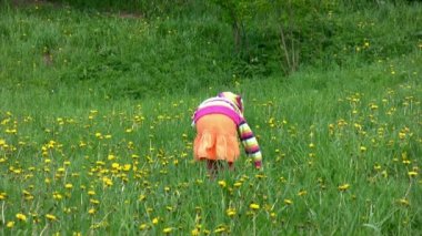 küçük kız orman alanı çiçek toplama