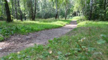 oğul ve baba Bisiklet park gezintisi