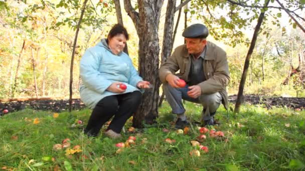 Homem envelhecido recolhendo maçãs e dando a mulher idosa — Vídeo de Stock