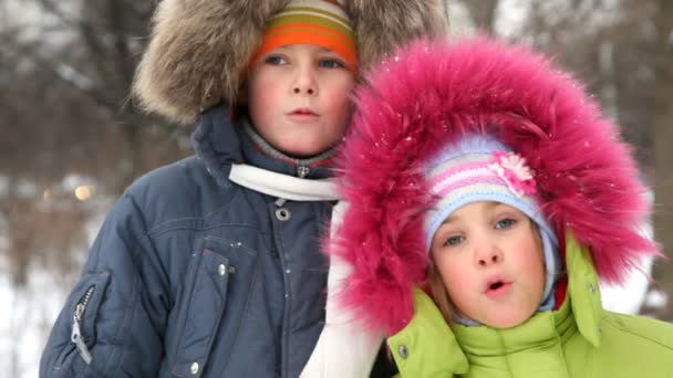 Junge und Mädchen gegen Holz im Winter — Stockvideo