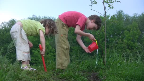 Girl digging, boy watering young plant — Stock Video