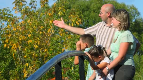 Семья из четырех человек, стоящих на мосту в парке и отворачивающихся, профиль — стоковое видео