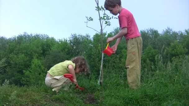 Menina cavando, menino molhando planta jovem — Vídeo de Stock