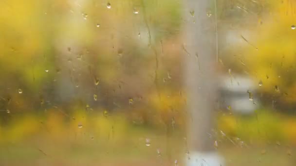 Wasser fällt auf Fenster des fahrenden Transports — Stockvideo