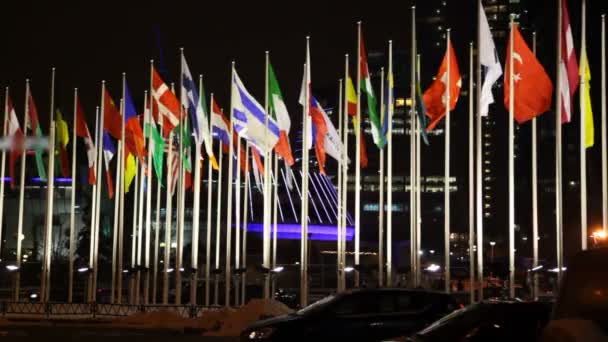 Прапори багатьох країн витісняються на флагштоках — стокове відео