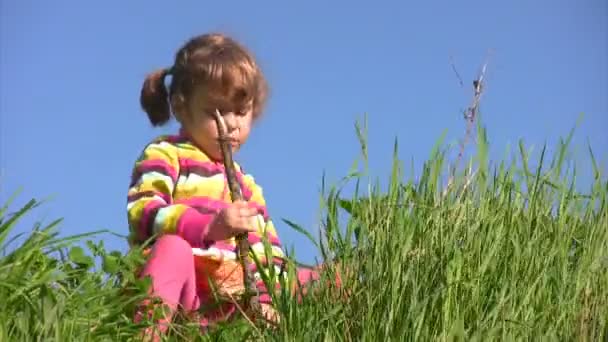 Fille s'assoit sur la prairie et remue le sol et l'herbe par bâton — Video