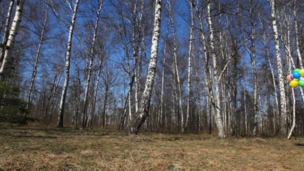 Famiglia felice di quattro persone con un mucchio di palloncini multicolori passeggiate nella foresta primaverile — Video Stock