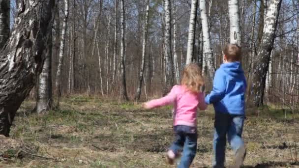 Junge mit kleiner Schwester rennt von Kamera in Frühlingswald, dreht sie, rennt zurück — Stockvideo