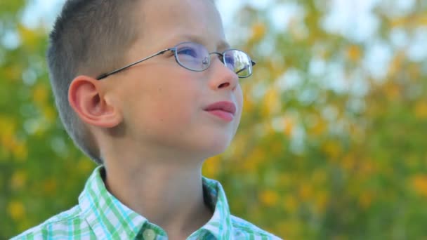 Portrait of bespectacled boy stands against trees in park — Stock Video