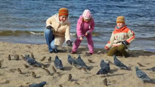 Mujer, niña y niño alimenta palomas — Vídeos de Stock