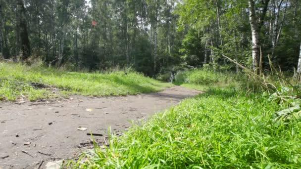 Chlapec jízdy kolo na cestu v lese v létě — Stock video