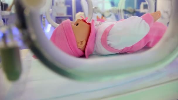 Baby incubator voor onderhoud van baby's in die kleine pop leugens — Stockvideo