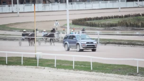 Början av häst tävlingar på hippodromen med autostart bil — Stockvideo