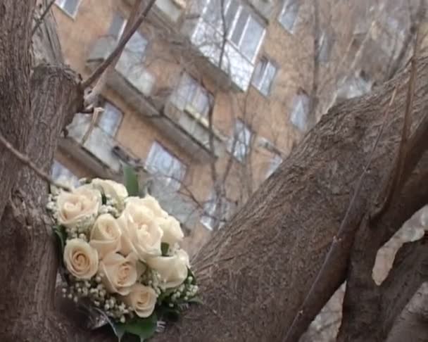 Man comes up to tree and takes wedding bouquet — Stock Video