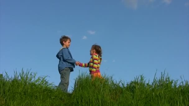Хлопчик і дівчинка на лузі — стокове відео