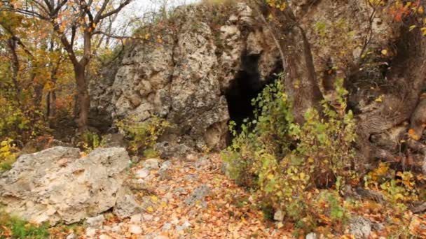 Grotta i klipporna bland träden på hösten — Stockvideo