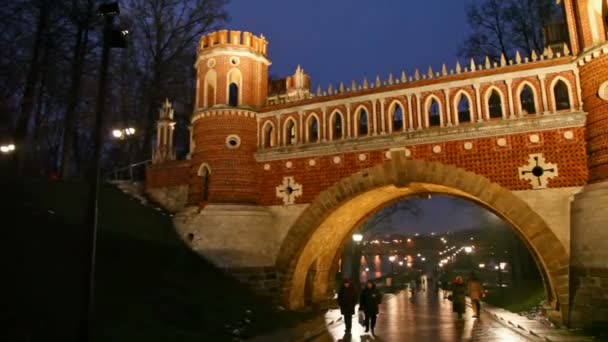 Brug in Tsaritsyno, Moskou — Stockvideo