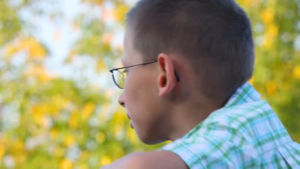 Retrato de niño con gafas mira el árbol en el parque, perfil — Vídeo de stock
