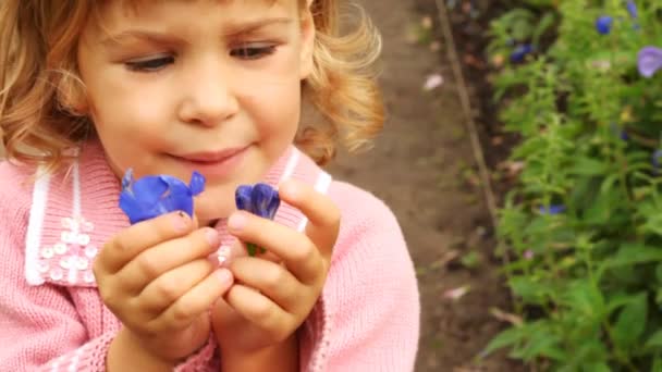 Porträtt av flicka av blondin som noggrant undersöker violett kronblad i händer — Stockvideo