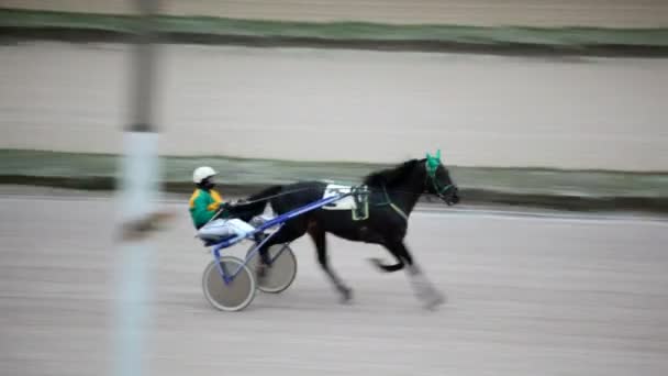 Auf Hippodrom Nahaufnahme Jockey sitzt im Fahrzeug und dirigiert Rennfahrer auf der Strecke — Stockvideo