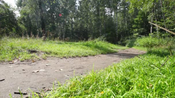 Madre e hijo montan bicicletas — Vídeos de Stock