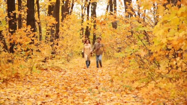 Homme et femme avancent sur une route en bois recouverte de feuilles d'automne 