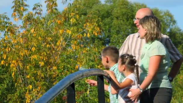 Vierköpfige Familie steht auf Brücke im Park und schaut weg, Profil — Stockvideo