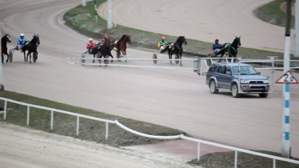 Прыжки на лошадях с жокеями в телегах и автостарт на ипподроме — стоковое видео