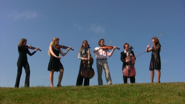 Sechs Musiker auf der Wiese spielen Streichinstrumente — Stockvideo