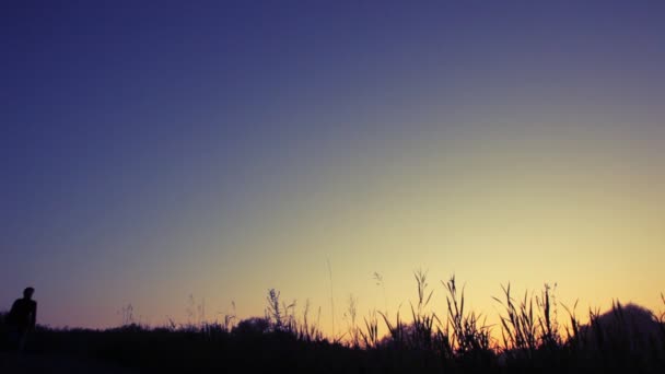 Wanderer mit Rucksack wandert bergab — Stockvideo