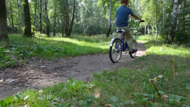 Moeder met zoon rijdt fietsen in park — Stockvideo