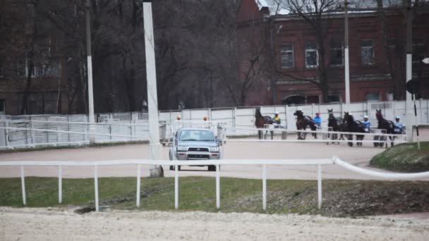 Início de competições de cavalos no hipódromo com carro de arranque automático — Vídeo de Stock