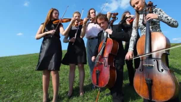 Musicians plays music on stringed instruments — Stock Video