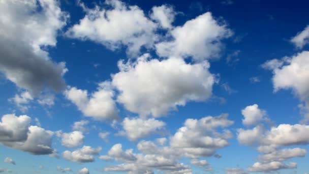 Cielo de día con nubes cúmulos — Vídeo de stock