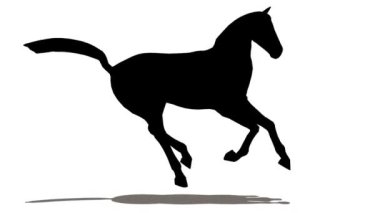 ışınları, önden görünüm döngüsü ile at