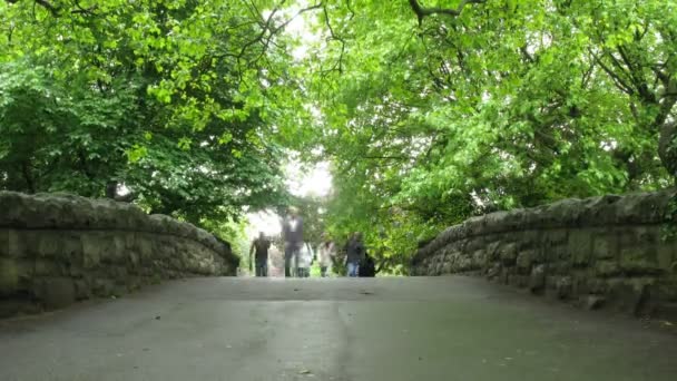 On bridge in Saint Stephens Green Park in Dublin, Irlanda . — Vídeo de Stock