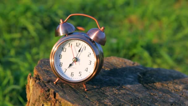 Reloj despertador clásico acostado y sonando en la hierba — Vídeo de stock
