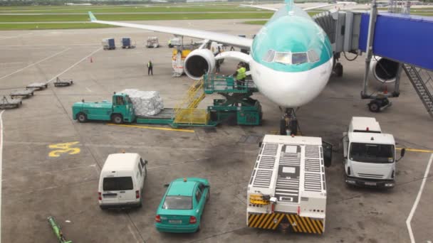 Flugzeug steht auf Landebahn und wird von Servicemitarbeitern mit Waren beladen — Stockvideo