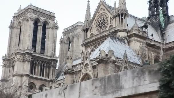 Notre dame de paris, Visa från siene river — Stockvideo