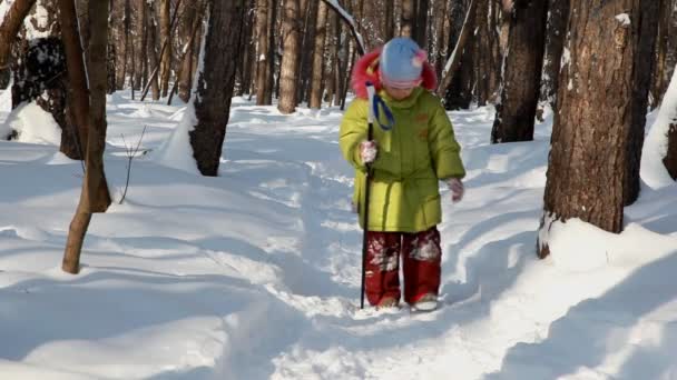 Klein meisje wandelingen met ski stok in winter hout — Stockvideo